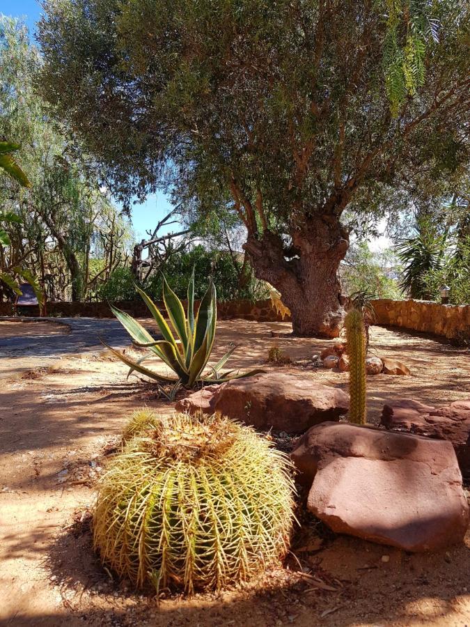 Bed and Breakfast Gato Preto De Silves - Adults Only Экстерьер фото